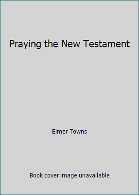 Praying the New Testament 1607514540 Book Cover
