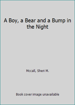 A Boy, a Bear and a Bump in the Night 1503558819 Book Cover