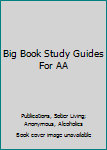 Paperback Big Book Study Guides For AA Book