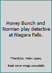 Honey Bunch and Norman play detective at Niagara Falls.