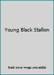 DVD Young Black Stallion Book