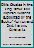 Bible studies in the King James and inspired versions: Supported by the Book of Mormon and Doctrine and covenants B000YAZIQW Book Cover