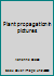 Plant Propagation in Pictures 0715368753 Book Cover