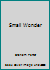 Small Wonder a Novel B002ACDR56 Book Cover