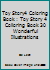 Toy Story4 Coloring book: Toy Story 4 Colloring book 30 wonderful illustrations 1096496038 Book Cover