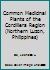 Common medicinal plants of the Cordillera region 9718640002 Book Cover