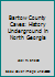 Bartow County Caves: History Underground in North Georgia 0976689510 Book Cover