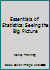 Essentials of Statistics: Seeing the Big Picture 1133939473 Book Cover