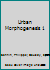 Urban Morphogenesis 1 1786300915 Book Cover