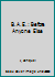 B.A.E.: Before Anyone Else 1518793983 Book Cover