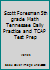 Scott Foresman 5th grade Math Tennessee Daily Practice and TCAP Test Prep 0328103934 Book Cover