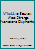 What the Elephant Was: Strange Prehistoric Elephants 0689311664 Book Cover