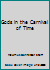 Gods in the Carnival of Time 1591961068 Book Cover