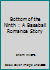 Bottom of the Ninth: A Baseball Romance Story 1520861338 Book Cover