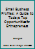 Small Business Profiles: A Guide to Todays Top Opportunities for Entrepreneurs 0810391783 Book Cover