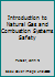 Introduction to Natural Gas and Combustion Systems Safety 1118872223 Book Cover