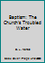 Baptism: The Church's Troubled Water 0937396664 Book Cover