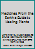 MEDICINES FROM THE EARTH (A GUIDE TO HEALING PLANTS) 0771594666 Book Cover