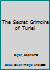 The Secret Grimoire of Turiel 1516896750 Book Cover