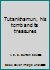 Tutankhamun, his tomb and its treasures B005B9CJYU Book Cover