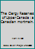 The Clergy Reserves of Upper Canada : a Canadian mortmain. B007T01MNS Book Cover