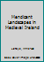 Mendicant Landscapes in Medieval Ireland 2503554466 Book Cover