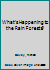 What's Happening to the Rain Forests? 0545061032 Book Cover