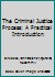 The Criminal Justice Process: A Practical Introduction 1138959081 Book Cover